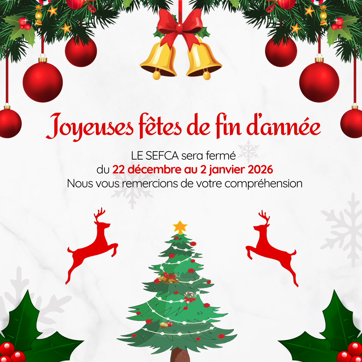 Joyeuses fêtes de fin dannée